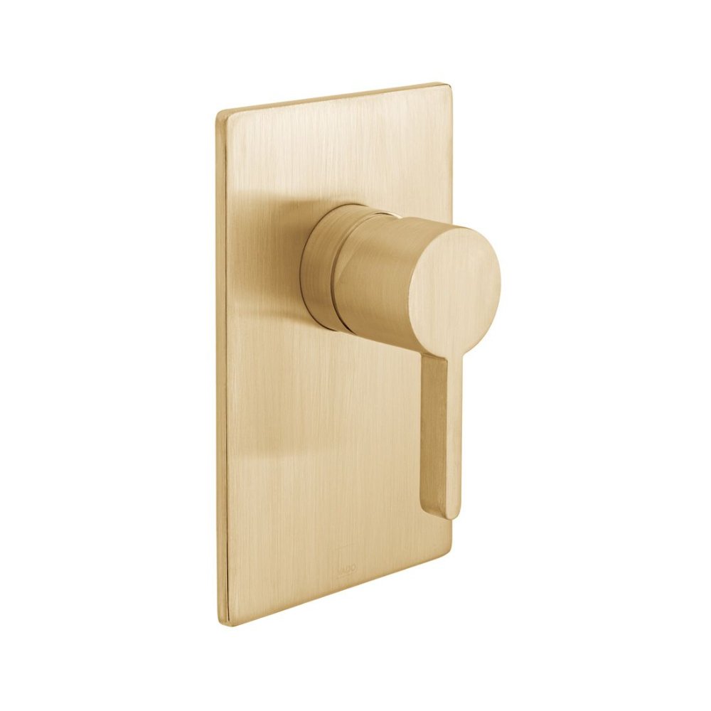 Vado Individual Edit 1 Outlet Concealed Manual Shower Valve - Brushed Gold