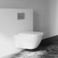 Geberit Kappa50 Dual Flush Plate - Image 3
