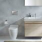 Geberit Kappa50 Dual Flush Plate - Image 4