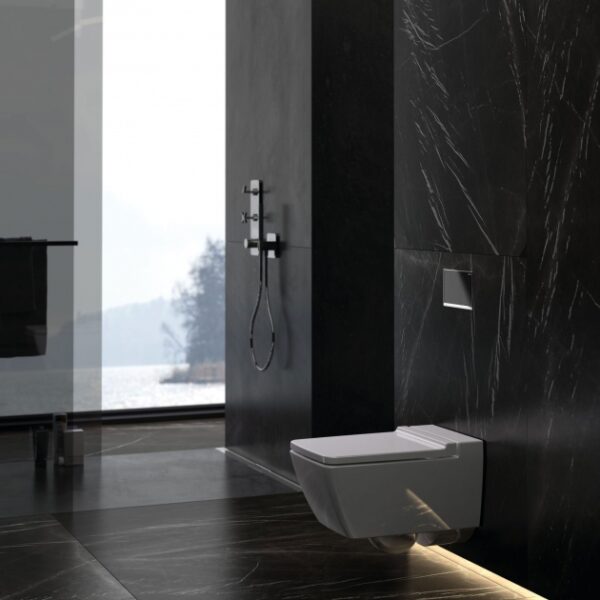 Geberit Sigma60 Dual Flush Plate - Image 6