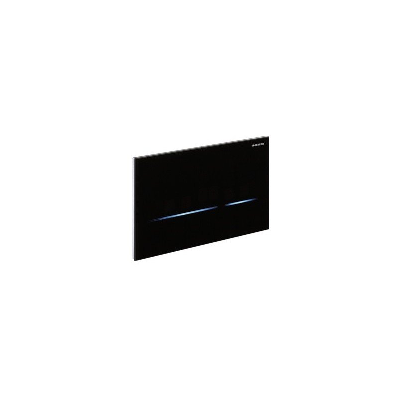 Geberit Sigma80 Dual Flush Plate for 120mm Sigma Concealed Cisterns - Reflective Glass