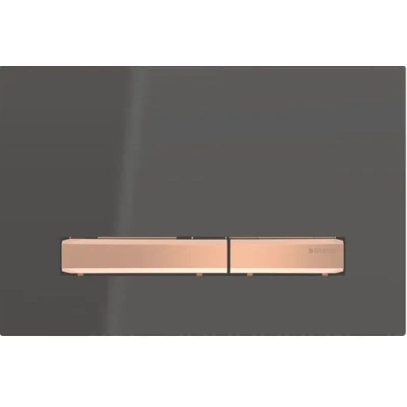 Geberit Sigma50 Dual Flush Plate With Red Gold Cover Plate - Black