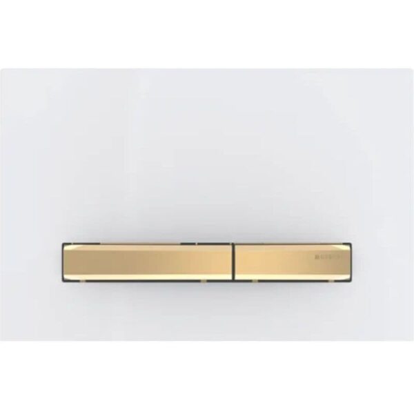 Geberit Sigma50 Dual Flush Plate With Brass Cover Plate