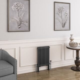 Eastbrook Imperia 2 Column Radiator - Matt Anthracite - Image 4