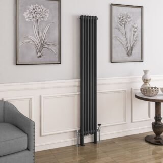 Eastbrook Imperia 2 Column Radiator - Matt Anthracite - Image 10