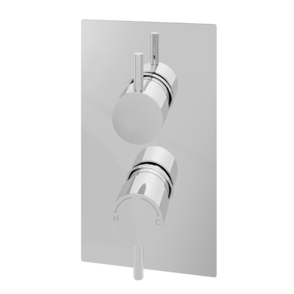 Eastbrook Round 2 Outlet 2 Handles Thermostatic Concealed Shower Valve