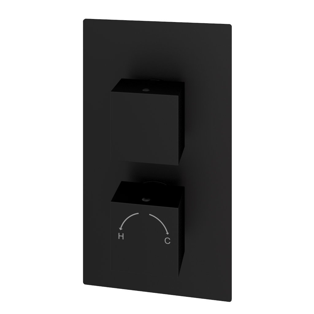 Eastbrook Square 2 Outlet 2 Handles Thermostatic Concealed Shower Valve - Matt Black