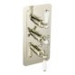 JTP Grosvenor 3 Outlet 3 Handle Lever Thermostatic Concealed Shower Valve - Various Colour