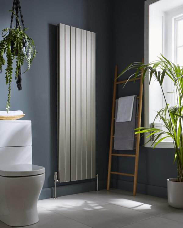 Kartell Victoria Double Panel Vertical Designer Radiator - Inox
