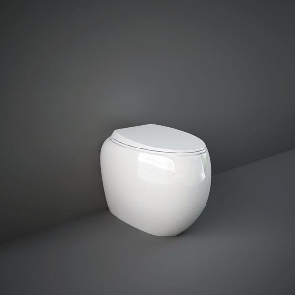 RAK Cloud Soft Close Toilet Seat