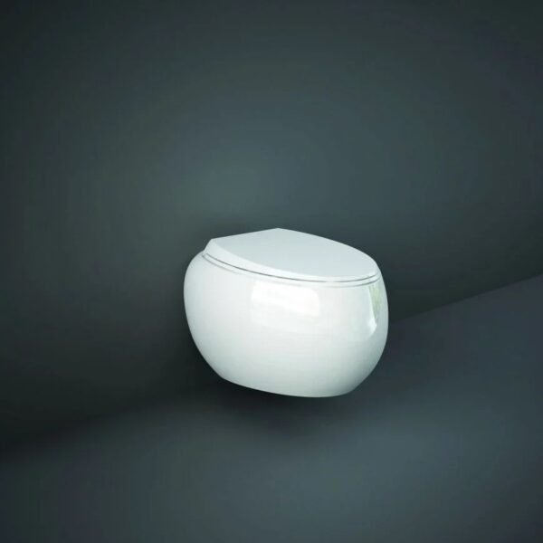 Rak Cloud Rimless Wall Hung Toilet With Soft Close Seat