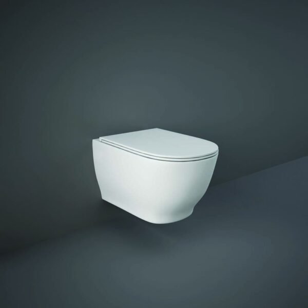 Rak Moon Rimless Wall Hung Toilet Hidden Fixations With Soft Close Seat - Alpine White