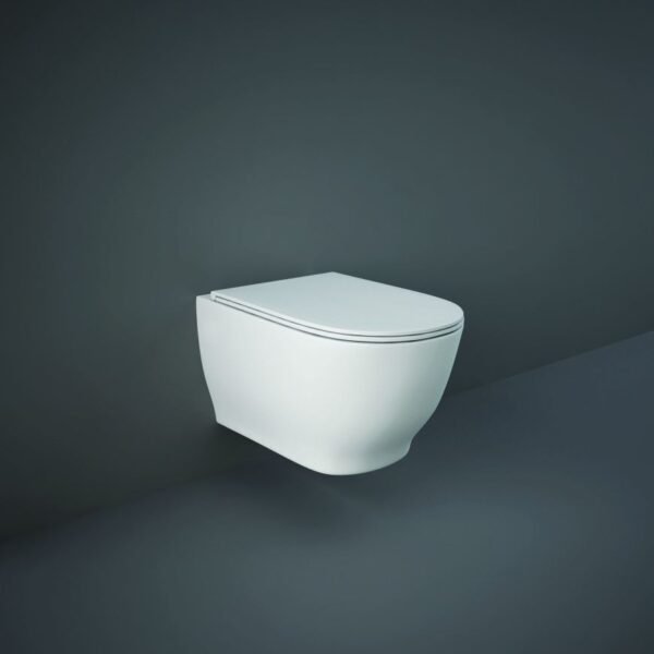 Rak Moon Wall Hung Toilet With Soft Close Seat - Alpine White