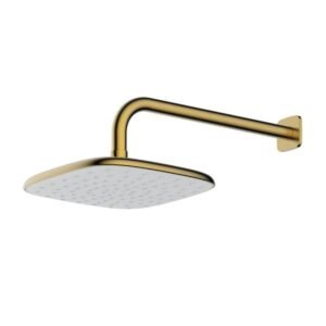 RAK Petit Square Shower Head And Arm - Brushed Gold